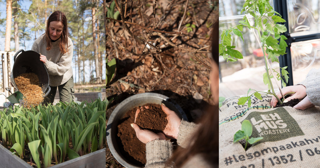 Hyödynnä kahvinporot ja kahvikuorike puutarhassasi! Ota tästä Greenhomen ja Lehmus Roasteryn vinkit lesompaan pihaan